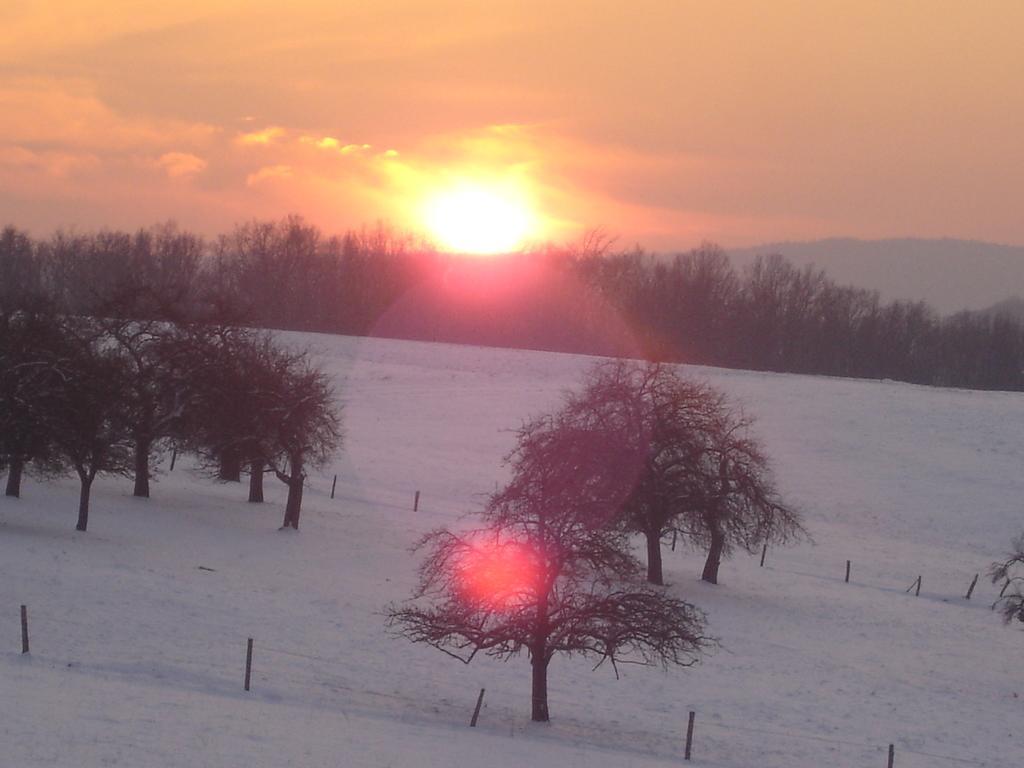 Landhotel Zur Post Bad Konig Luaran gambar